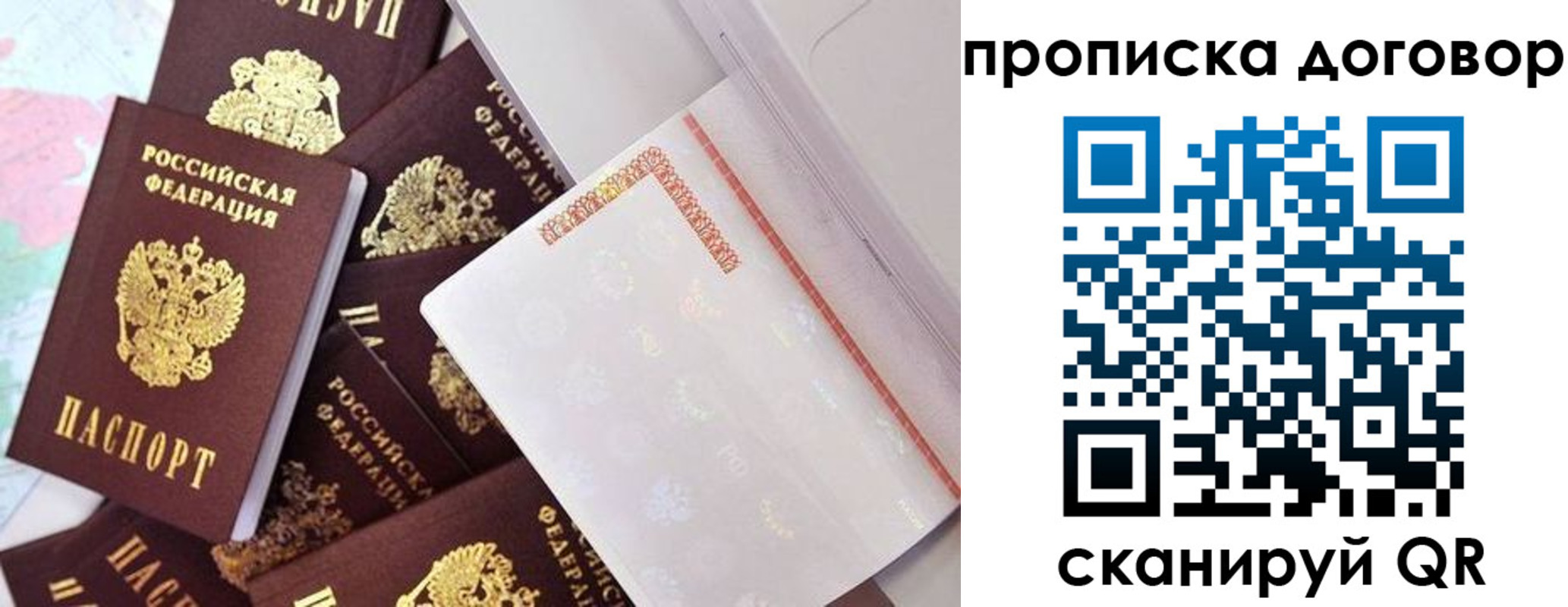 прописка в квартире в Купино